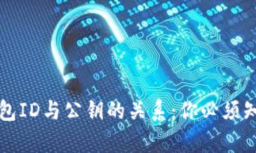 比特币钱包ID与公钥的关系：你必须知道的真相