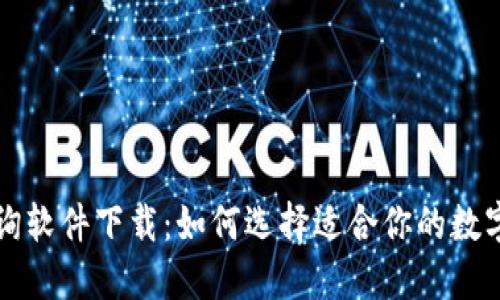 区块链钱包查询软件下载：如何选择适合你的数字资产管理工具