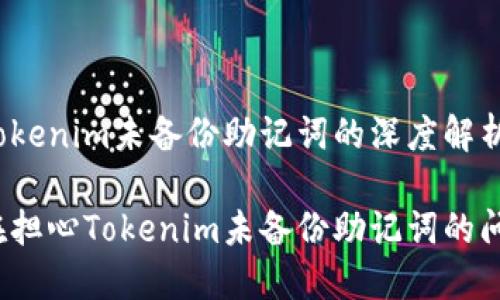 关于Tokenim未备份助记词的深度解析

你还在担心Tokenim未备份助记词的问题吗？