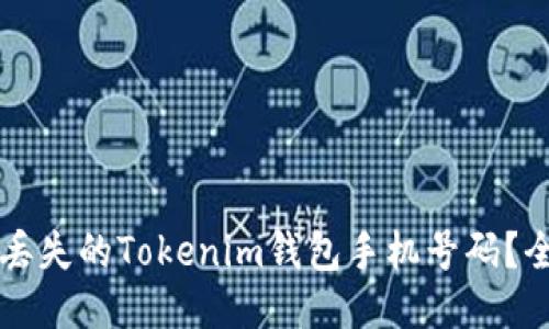 怎么找回丢失的Tokenim钱包手机号码？全方位指南