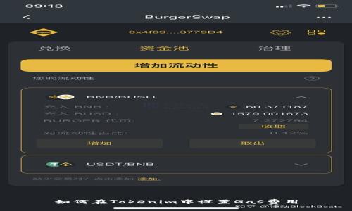 如何在Tokenim中设置Gas费用