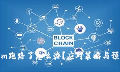 Tokenim跑路了怎么办？应对策略与预防措施