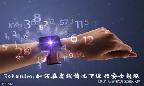 Tokenim：如何在离线情况下进行安全转账