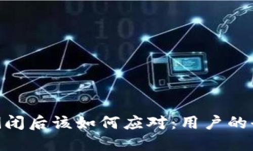 Tokenim倒闭后该如何应对：用户的全方位指南