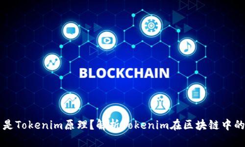 什么是Tokenim原理？解析Tokenim在区块链中的应用
