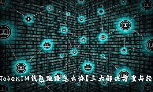 TokenTokenIM钱包跑路怎么办？三大解决方案与经验总结