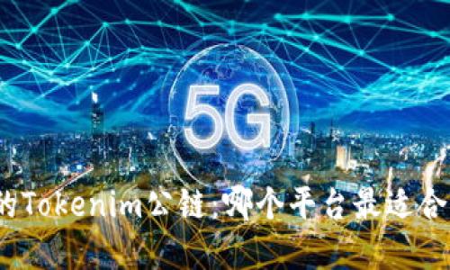 选择最佳的Tokenim公链：哪个平台最适合你的需求？