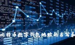 全面解析比特币数字钱包地址的书写和使用指南
