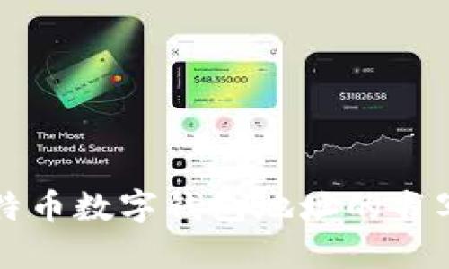 全面解析比特币数字钱包地址的书写和使用指南