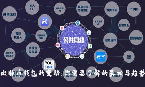 比特币钱包的变动：你需要了解的真相与趋势