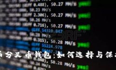 全面解析比特币分叉币钱包：如何选择与保护你