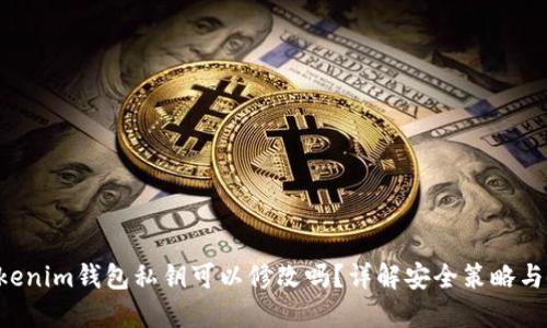 Tokentokenim钱包私钥可以修改吗？详解安全策略与使用技巧