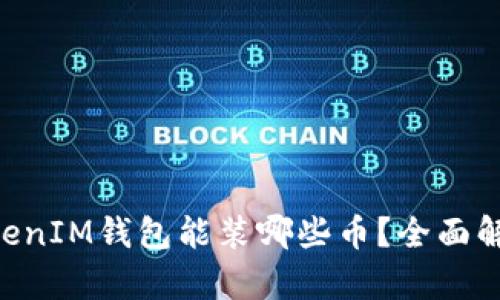 TokenTokenIM钱包能装哪些币？全面解析与推荐