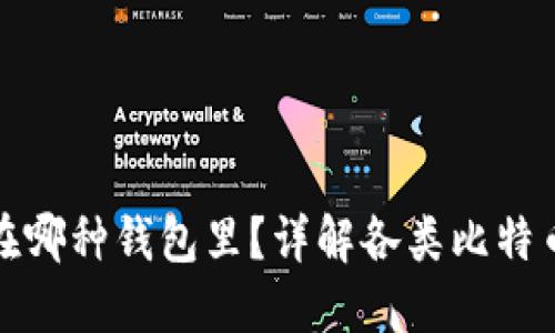 比特币应该放在哪种钱包里？详解各类比特币钱包的优劣势