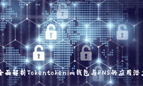 全面解析Tokentokenim钱包与PNS的应用潜力