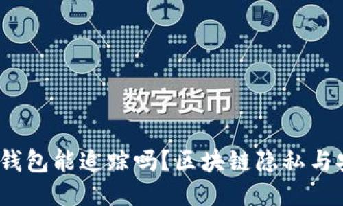 tokentokenim钱包能追踪吗？区块链隐私与安全的深度探讨