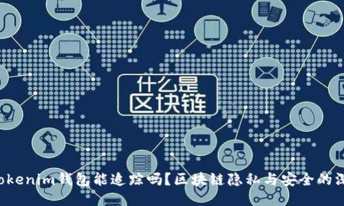 tokentokenim钱包能追踪吗？区块链隐私与安全的深度探讨