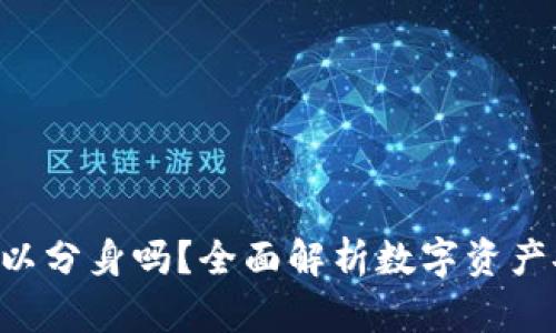 Tokenim钱包可以分身吗？全面解析数字资产安全与使用体验