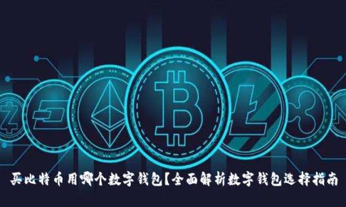 买比特币用哪个数字钱包？全面解析数字钱包选择指南