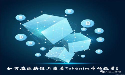 如何在区块链上查看Tokenim币的数量？
