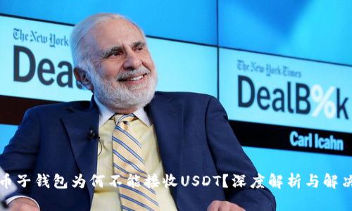 比特币子钱包为何不能接收USDT？深度解析与解决方案
