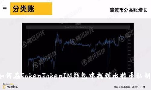 如何在TokenTokenIM钱包中找到比特币私钥？