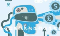 比特币应用钱包的选择与使用指南