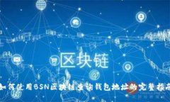 如何使用BSN区块链查询钱包地址的完整指南