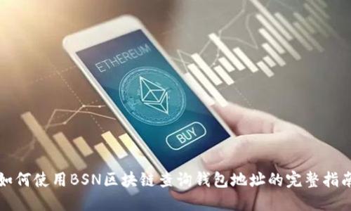 如何使用BSN区块链查询钱包地址的完整指南