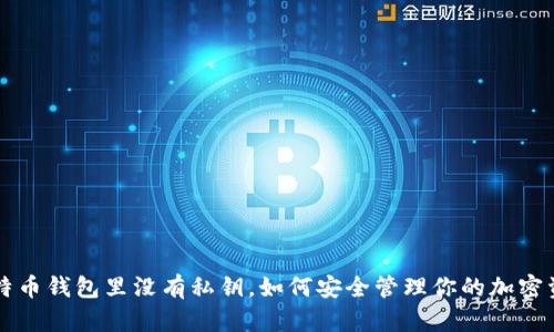 比特币钱包里没有私钥，如何安全管理你的加密资产