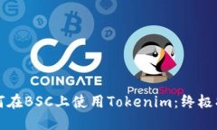 如何在BSC上使用Tokenim：终极指南