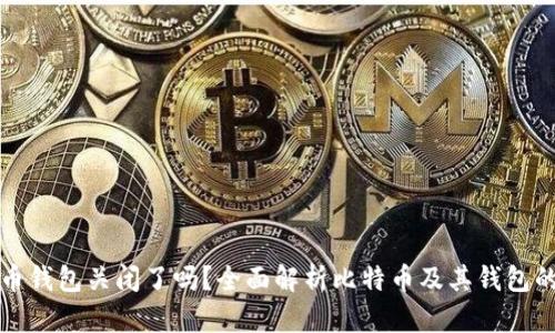比特币钱包关闭了吗？全面解析比特币及其钱包的现状