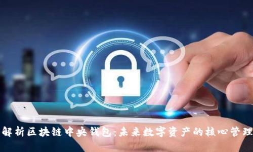 深入解析区块链中央钱包：未来数字资产的核心管理工具