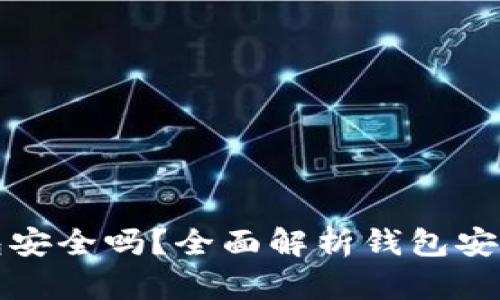 区块链上的钱包安全吗？全面解析钱包安全性与防护措施